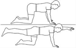 Shoulder stabiliser Shoulder stabiliser